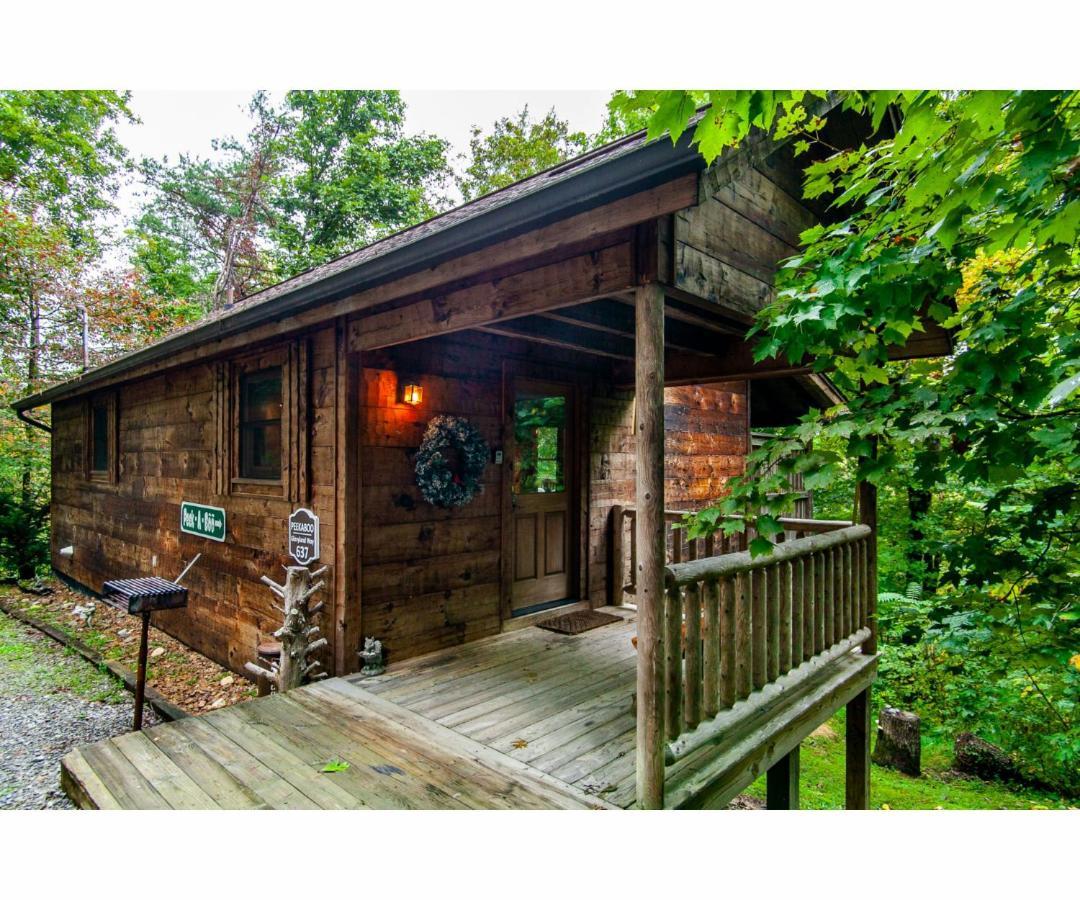 Peekaboo With Hot Tub, Pool Table, And Jacuzzi Βίλα Pigeon Forge Εξωτερικό φωτογραφία