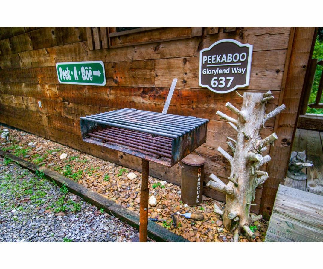 Peekaboo With Hot Tub, Pool Table, And Jacuzzi Βίλα Pigeon Forge Εξωτερικό φωτογραφία