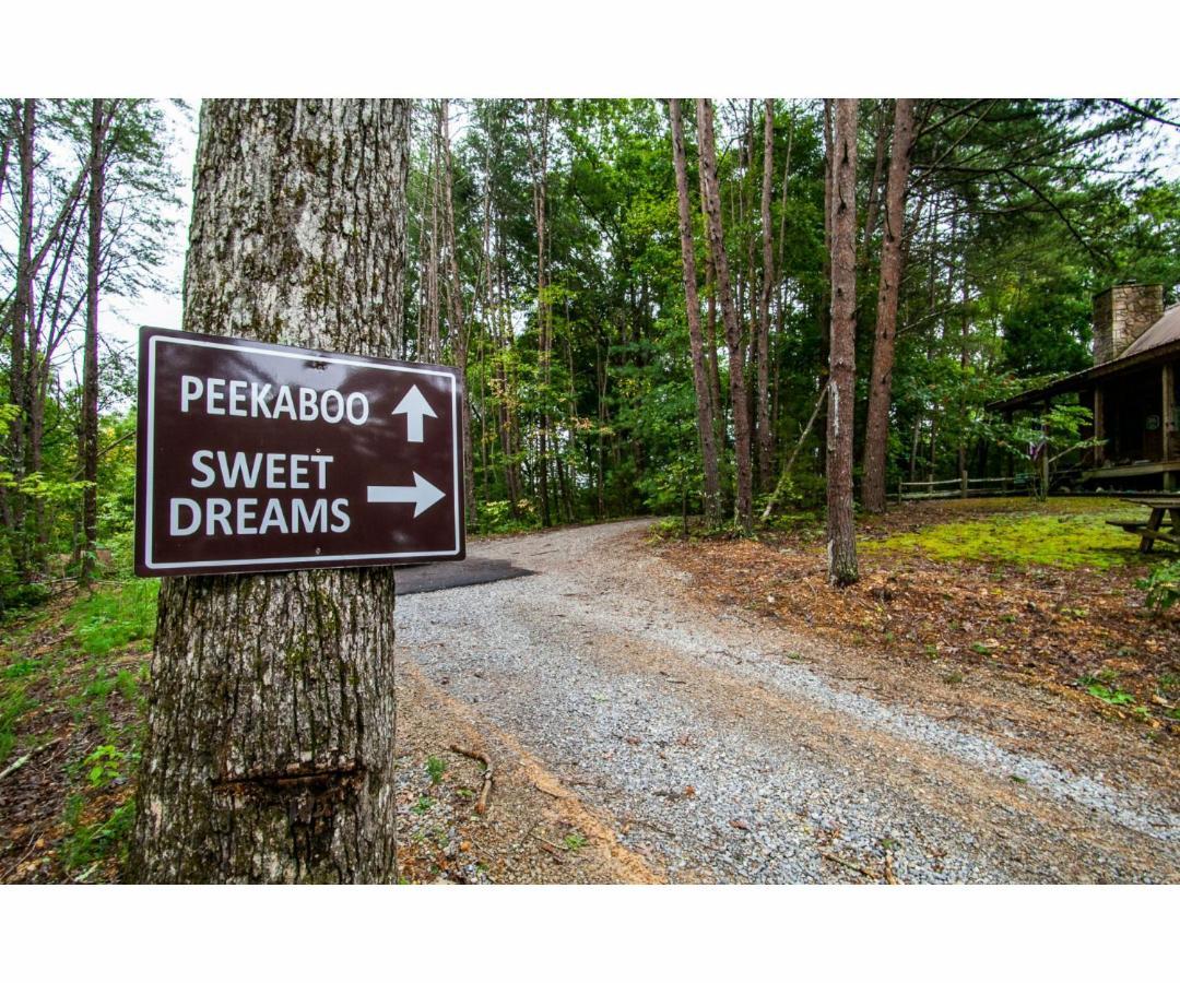 Peekaboo With Hot Tub, Pool Table, And Jacuzzi Βίλα Pigeon Forge Εξωτερικό φωτογραφία