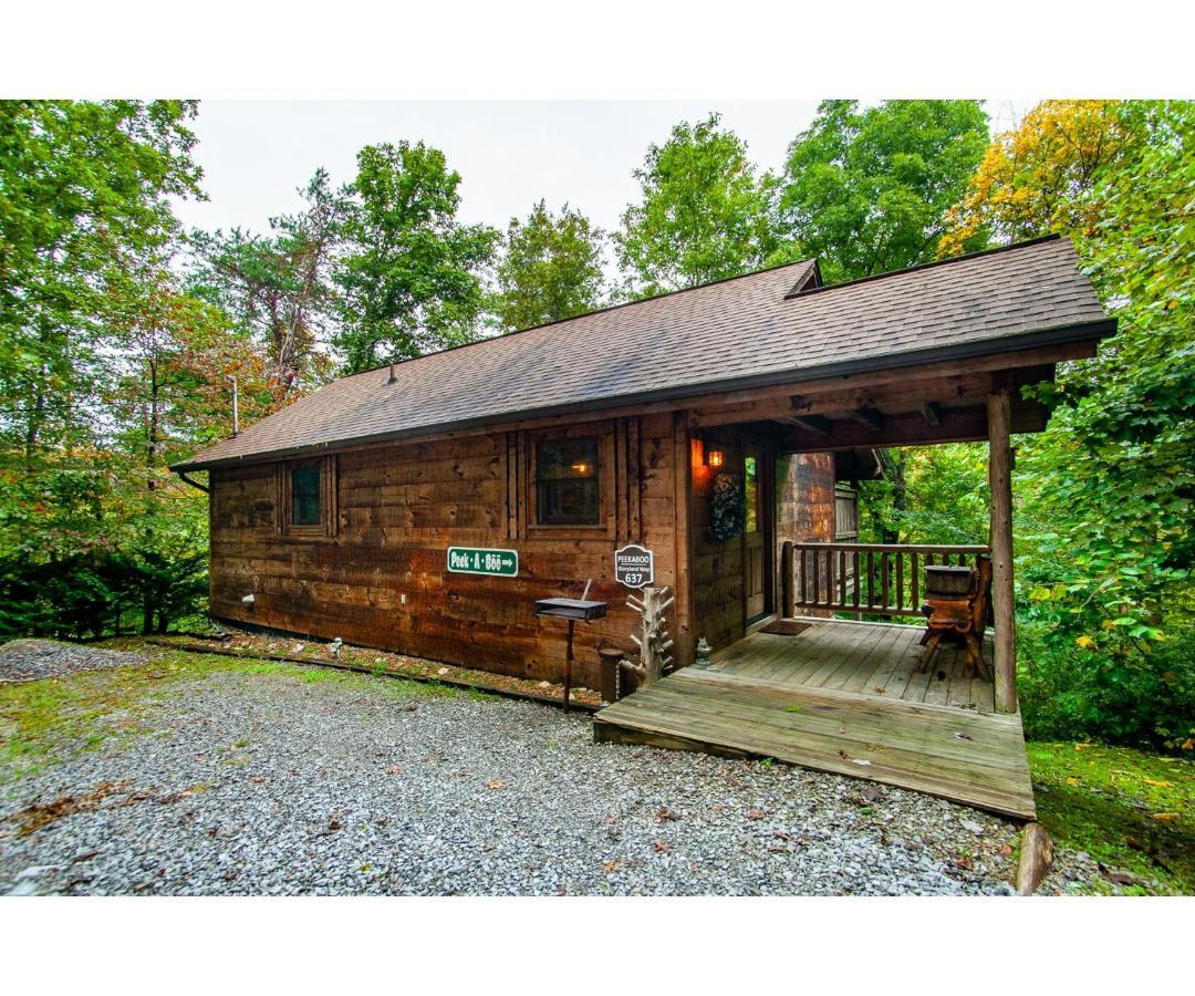 Peekaboo With Hot Tub, Pool Table, And Jacuzzi Βίλα Pigeon Forge Εξωτερικό φωτογραφία